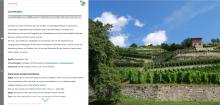 (C) 2019 by MLU-BIKAB: Lernmodul Wein im Wandel - Weinbau im Kontext des Klimawandels
